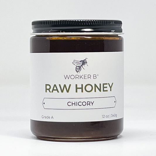 Chicory Raw Honey
