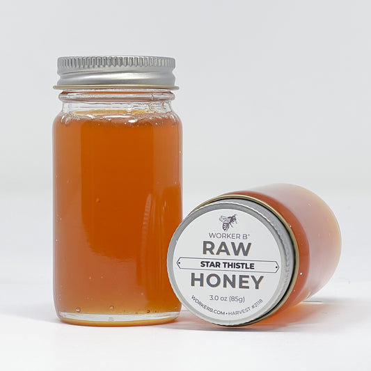 Star Thistle Raw Honey (Mini)