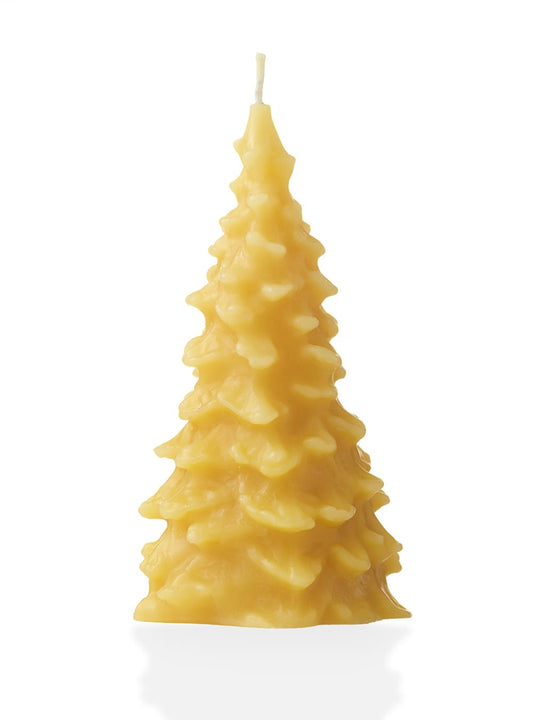 Beeswax Tree Candles