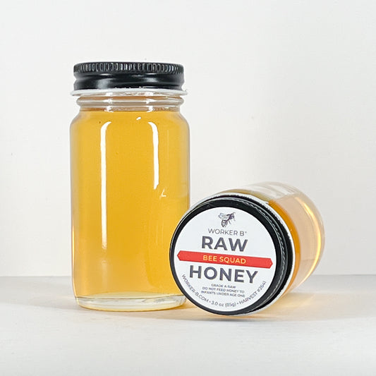 University of Minnesota Bee Squad Raw Honey (Mini)