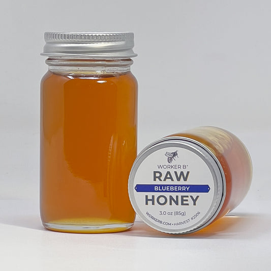 Jar of raw blueberry honey with a label on a white background