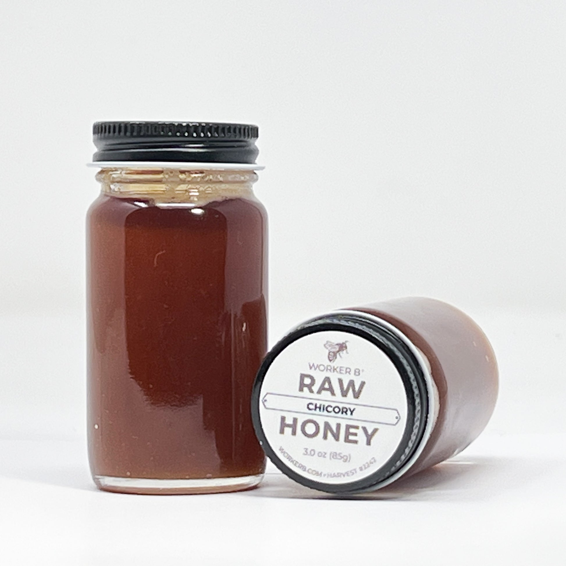 Jar of Worker B Raw Chicory raw  Honey with label on a white background