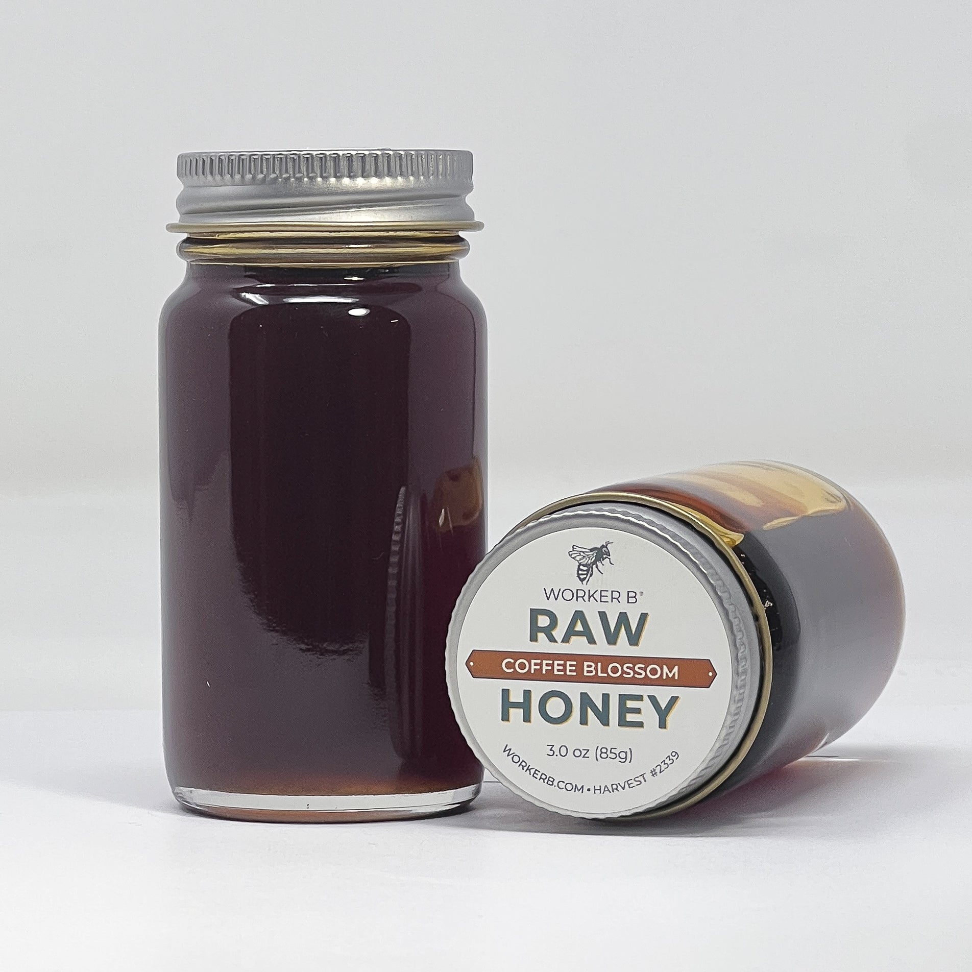 Jar of raw coffee blossom honey with a label on a white background