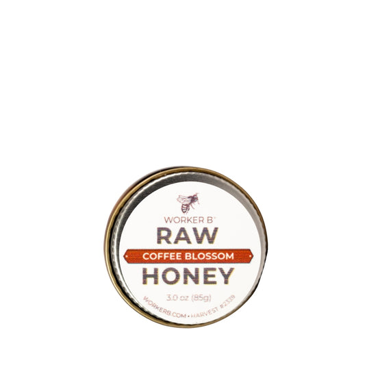 Coffee Blossom Raw Honey (Mini)