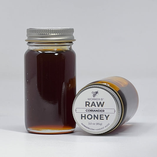 Jar of raw coriander honey with a label on a light gray background