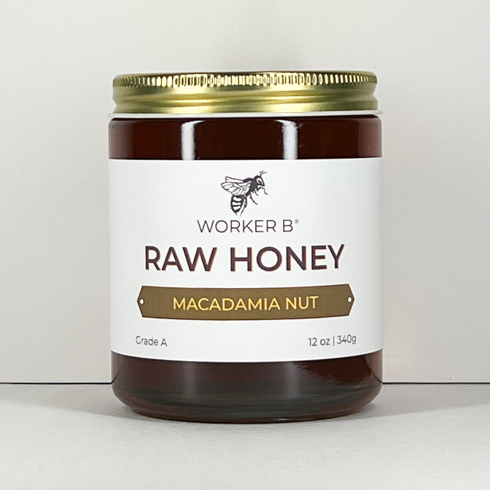 Macadamia Nut Raw Honey