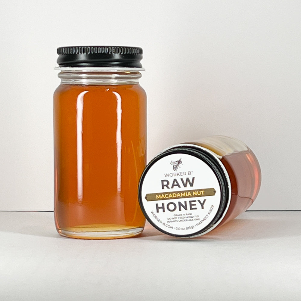 Macadamia Nut Raw Honey - Mini