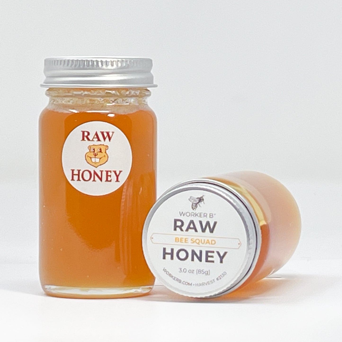 University of Minnesota Bee Squad Raw Honey (Mini)