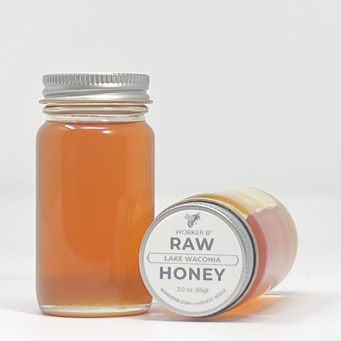 Lake Waconia Raw Honey (Mini)