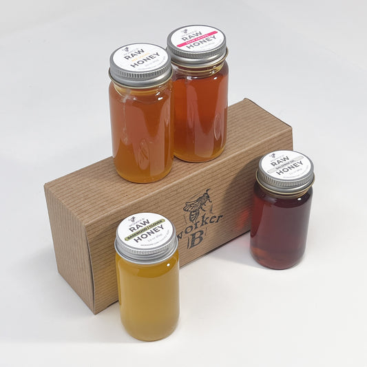 Minnesota Local Flight