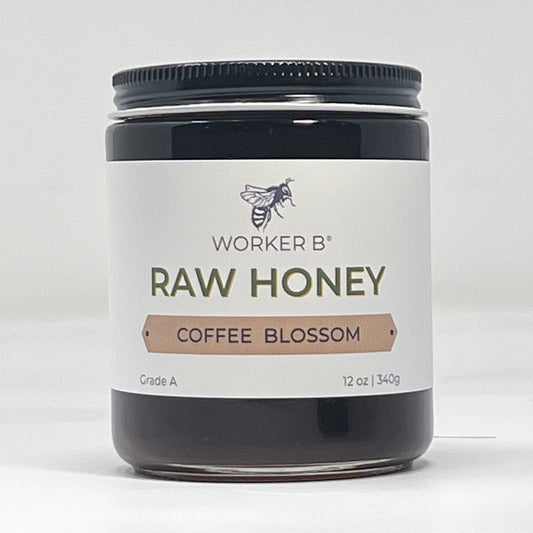 Coffee Blossom Raw Honey
