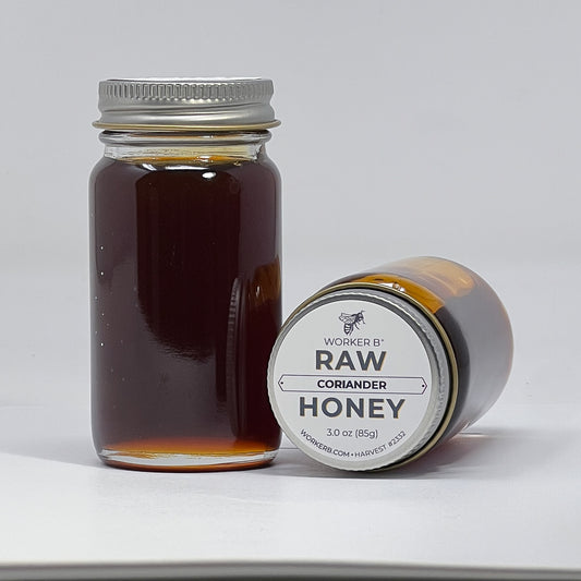 Coriander Raw Honey (Mini)