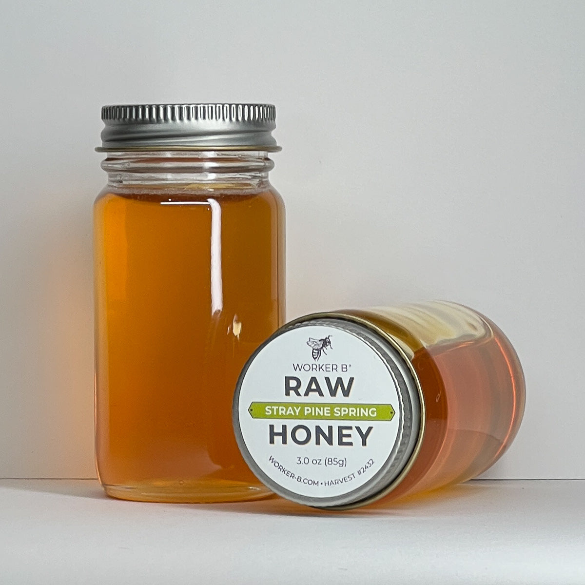 Stray Pine Spring Raw Honey (Mini)
