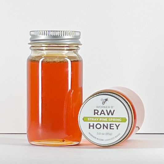 Stray Pine Spring Raw Honey (Mini)