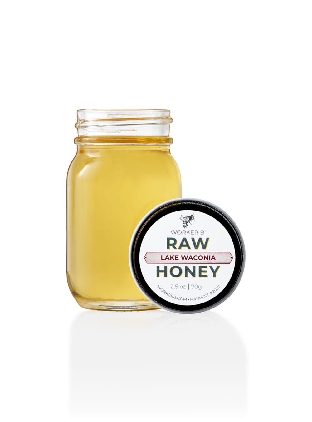 Lake Waconia Raw Honey (Mini)